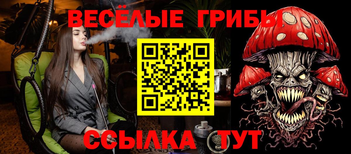 Псилоцибиновые грибы MAGIC MUSHROOMS  Вход с VPN  Балашиха 